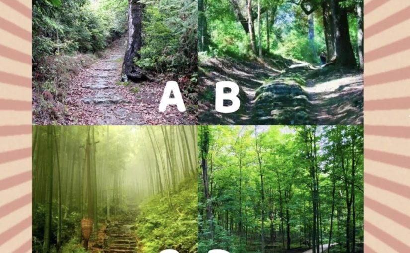 你最想走哪條路？測試你在什麼時候能發財！